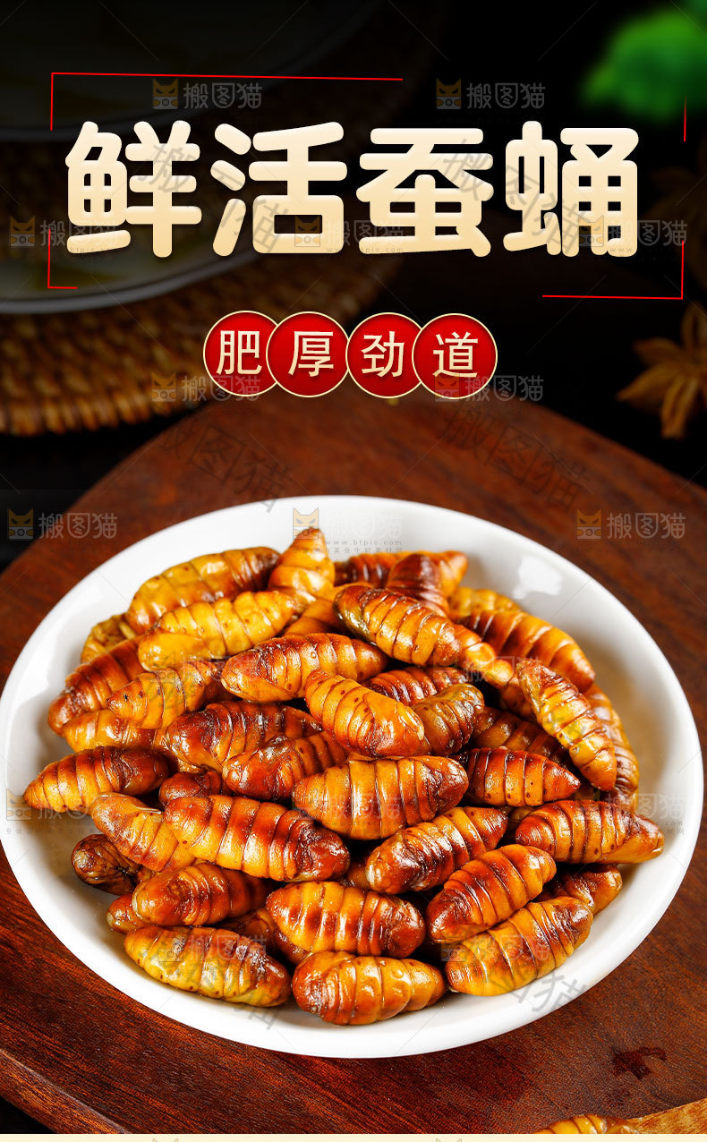 鲜活蚕蛹详情页