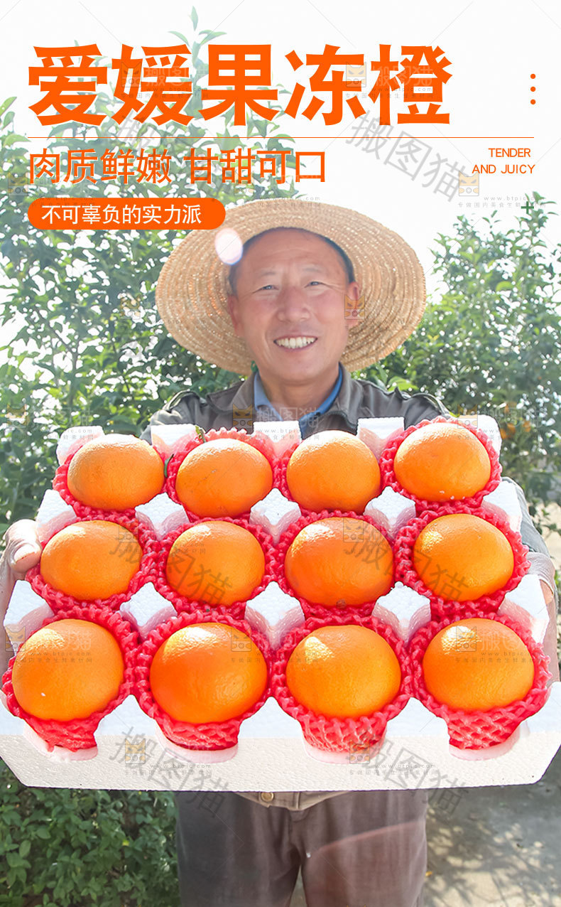 爱媛果冻橙详情页