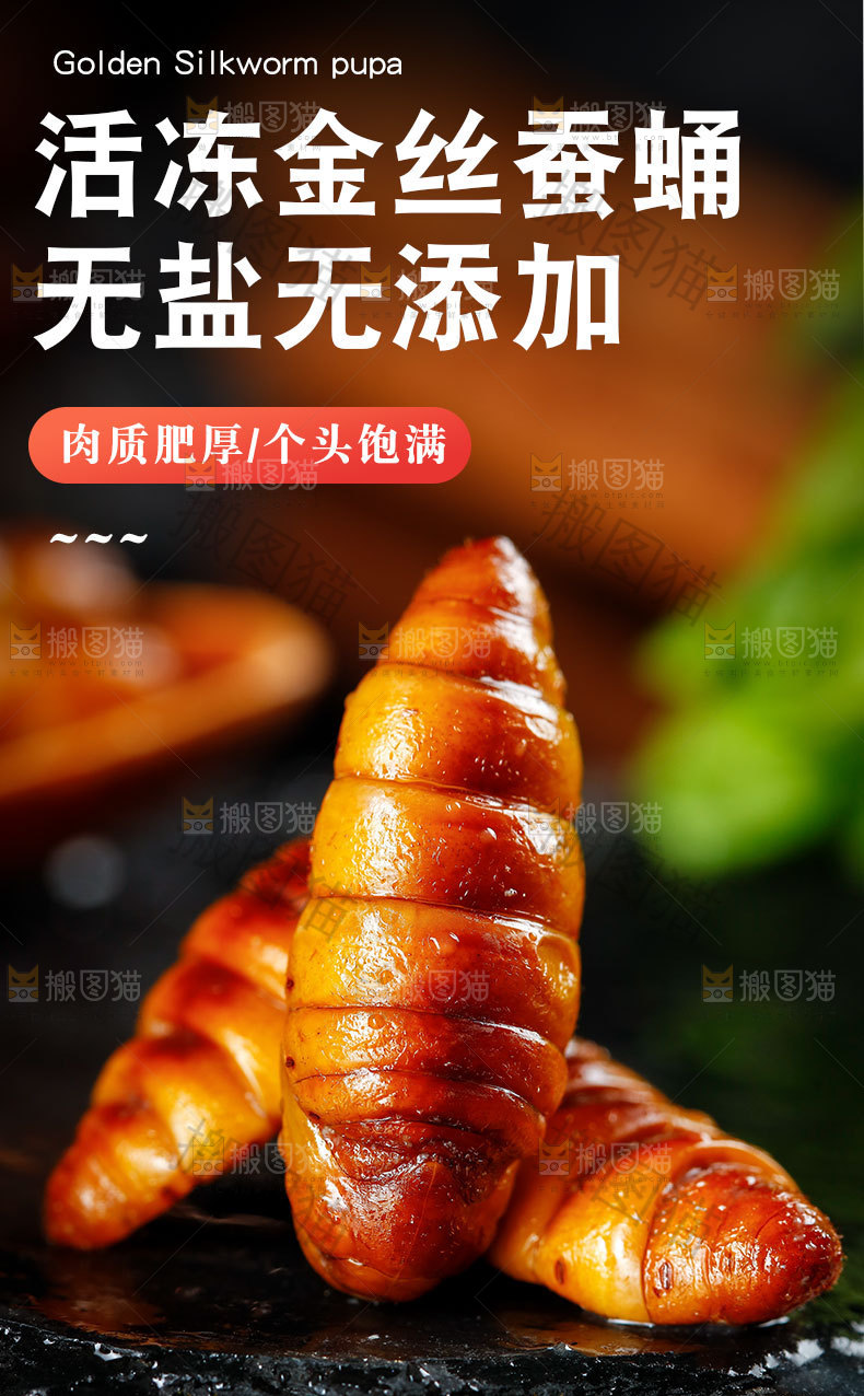 金丝蚕蛹详情页
