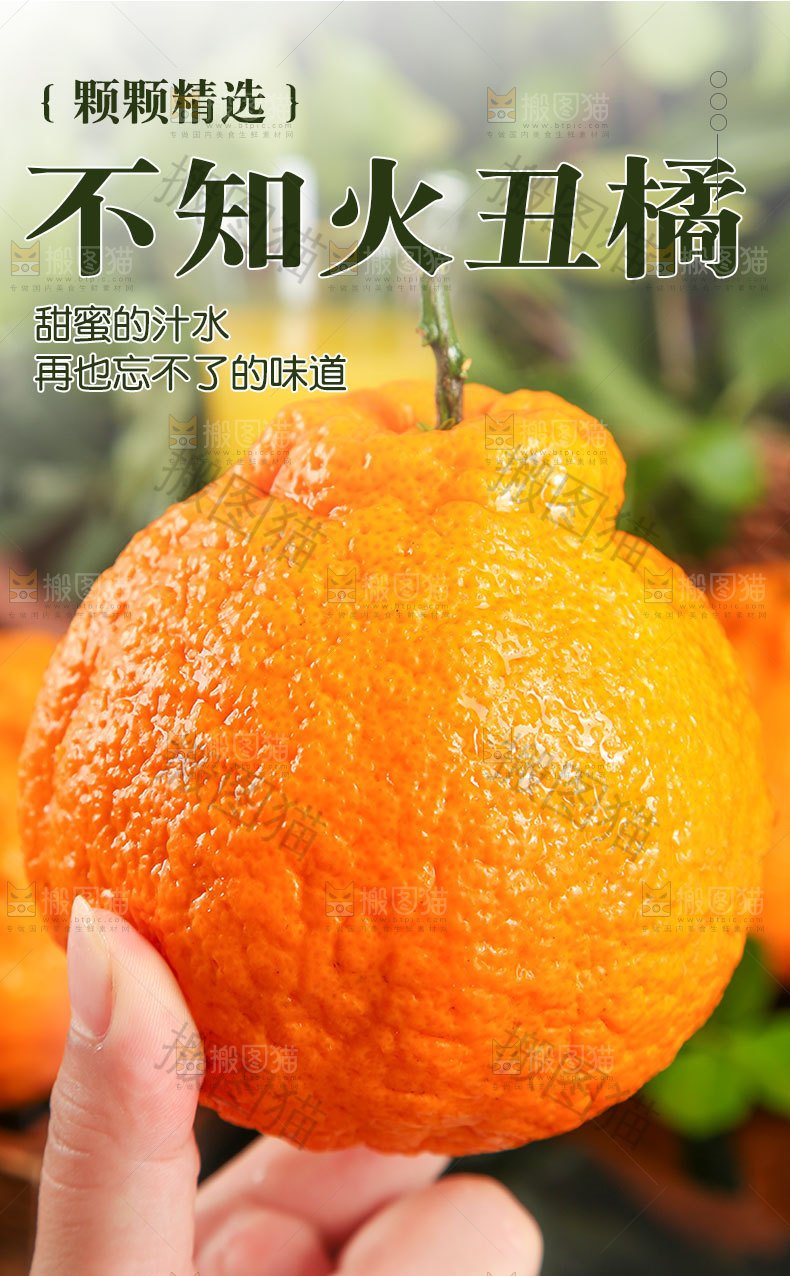 不知火丑橘详情页