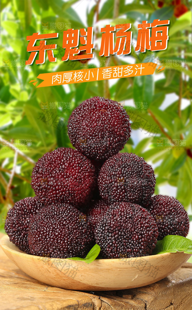 东魁杨梅详情页