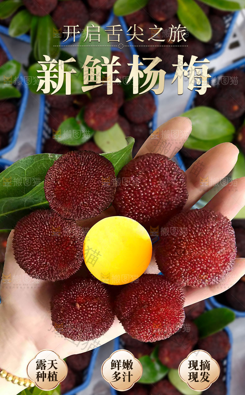 杨梅详情页