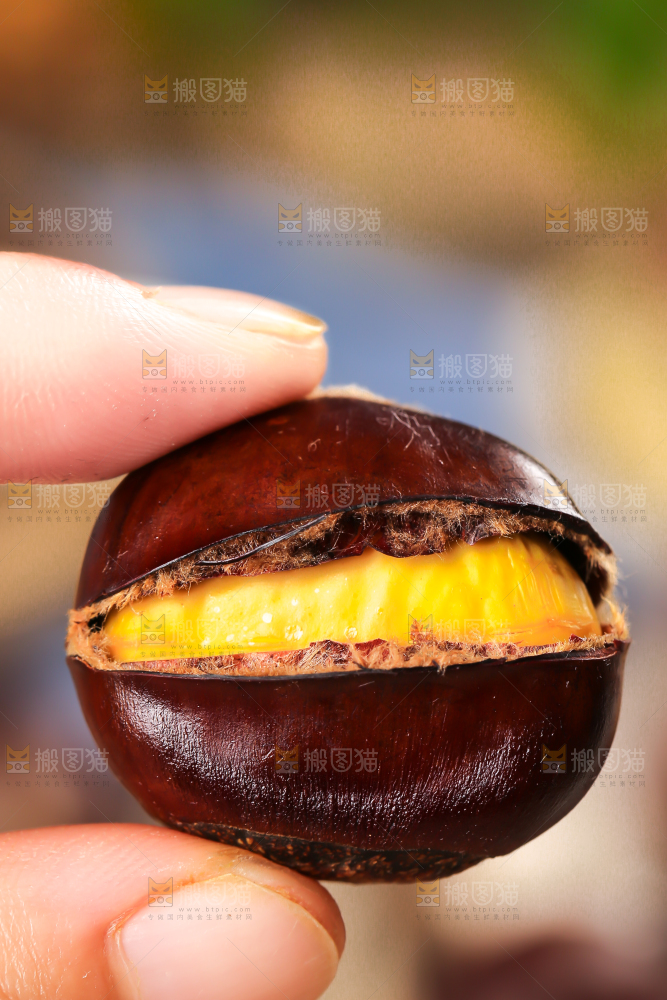 手上拿着开口的板栗