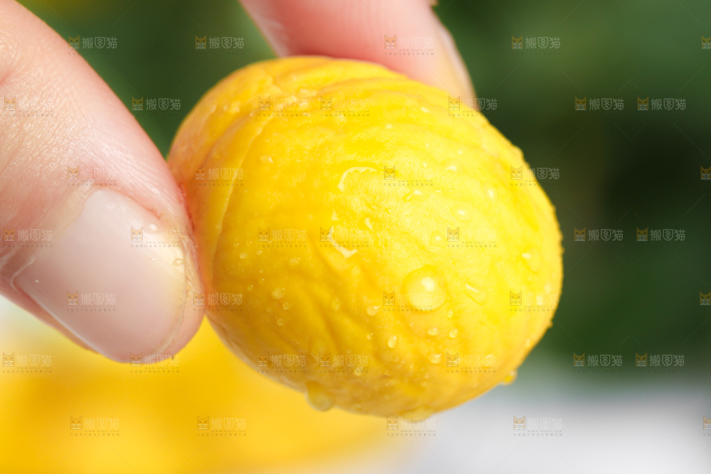 手上拿着迁西板栗