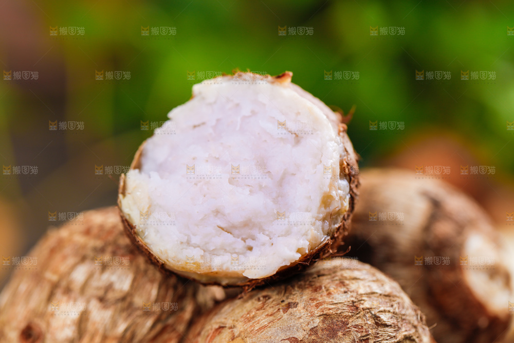 一堆熟的牛奶小芋头