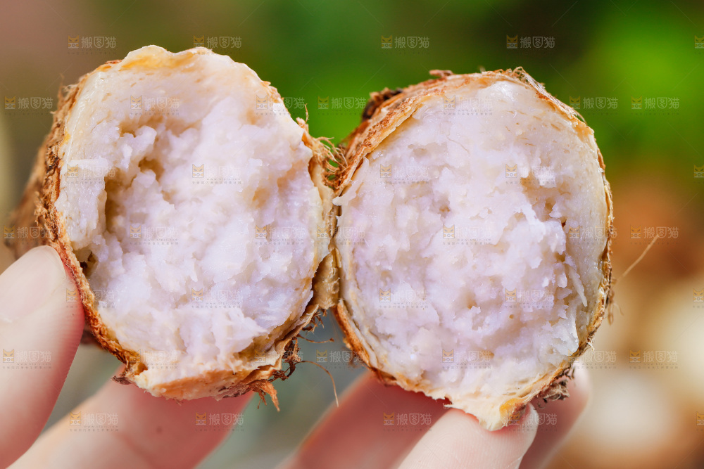 手上拿着小芋头