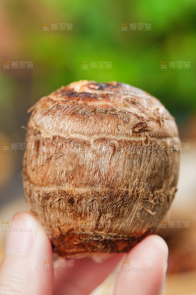 手上拿着小香芋
