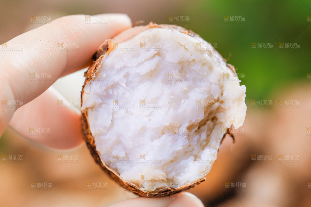 手上拿着小香芋