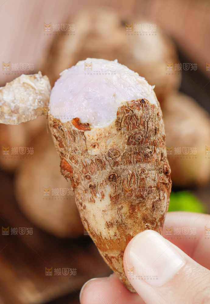 手上拿着小芋头