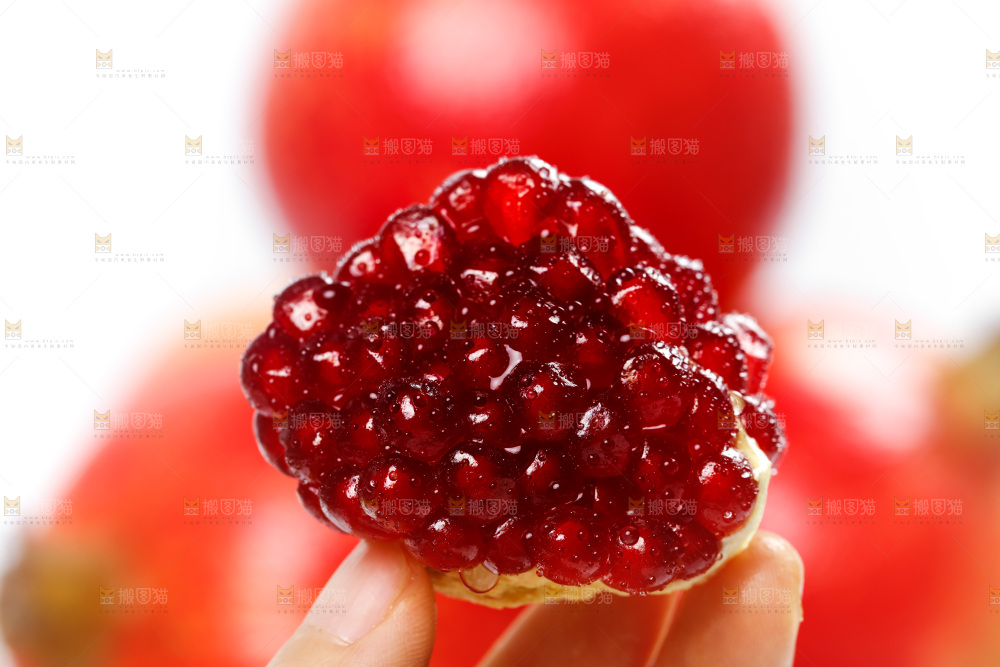 手上拿着软籽石榴