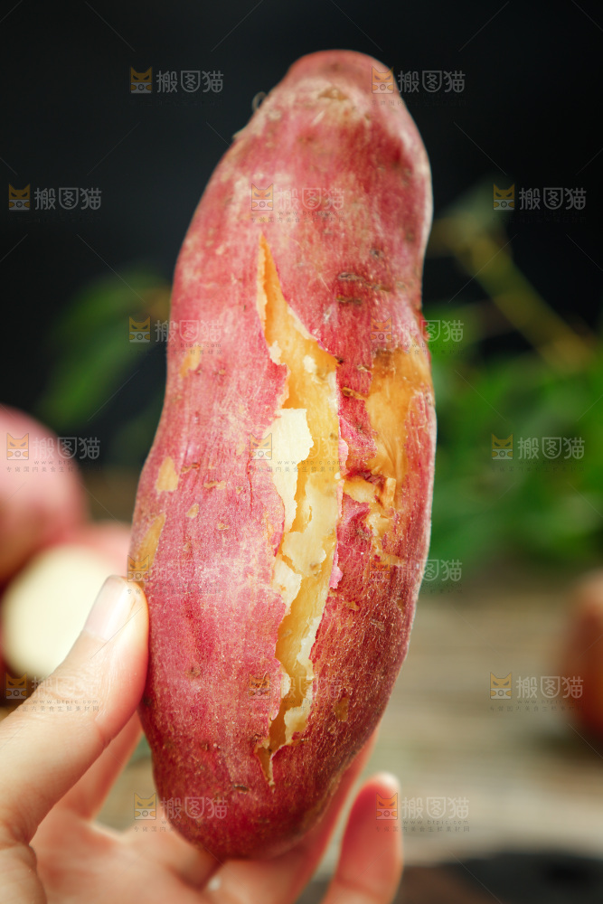 手上拿着黄心蜜薯