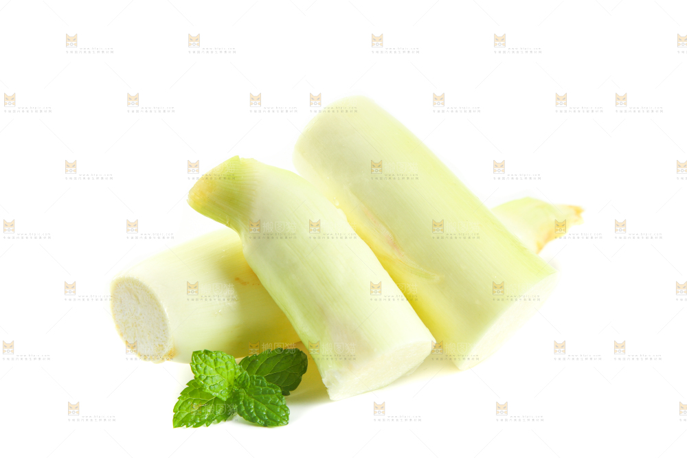 白底上的茭笋