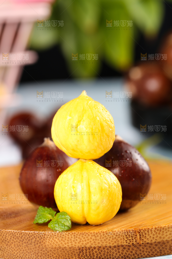 锥栗
