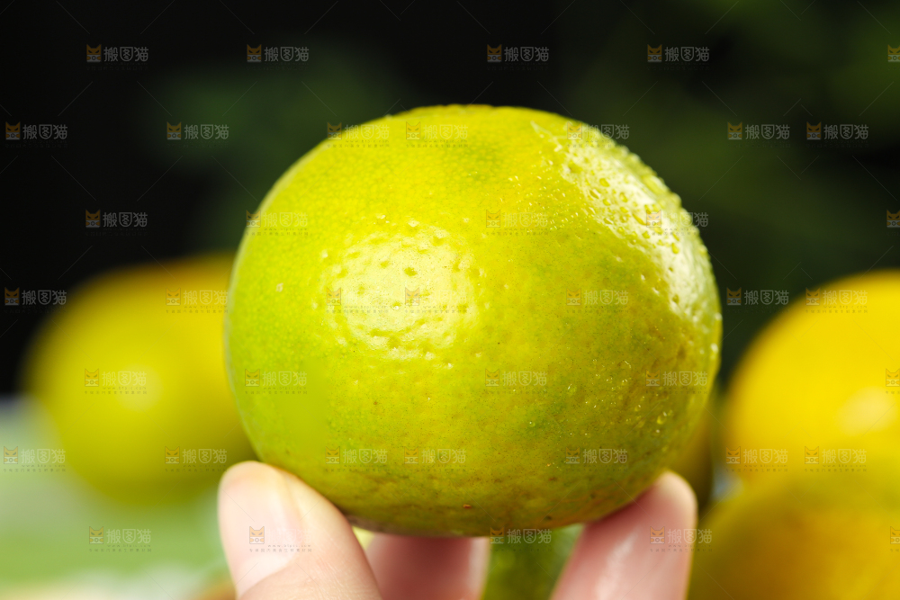 手上拿着皇帝柑