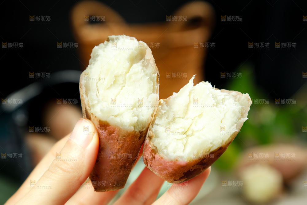 手上拿着白心板栗红薯