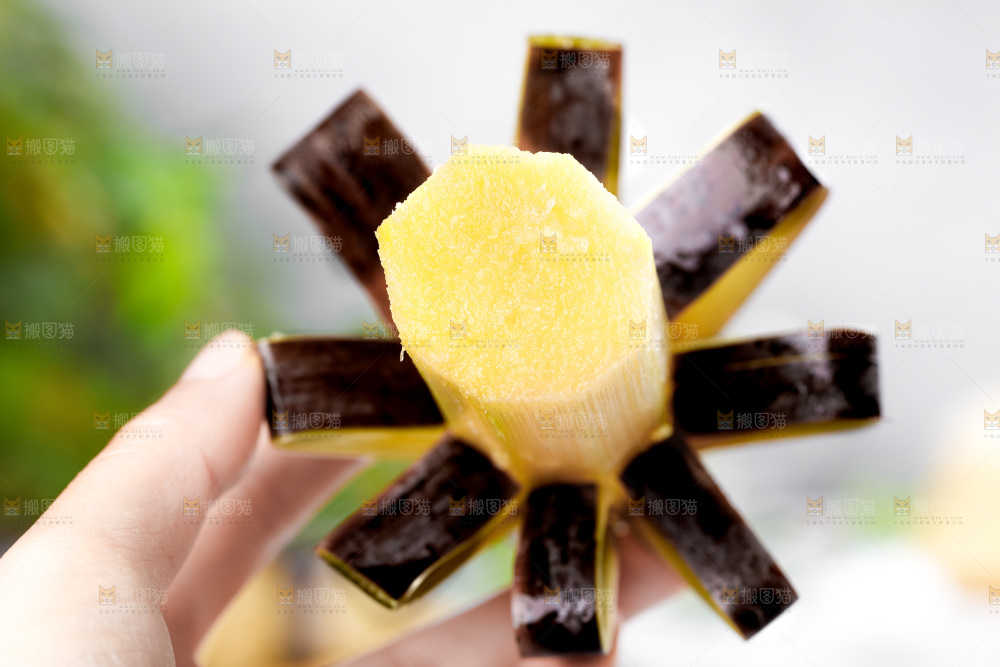 手上拿着甘蔗