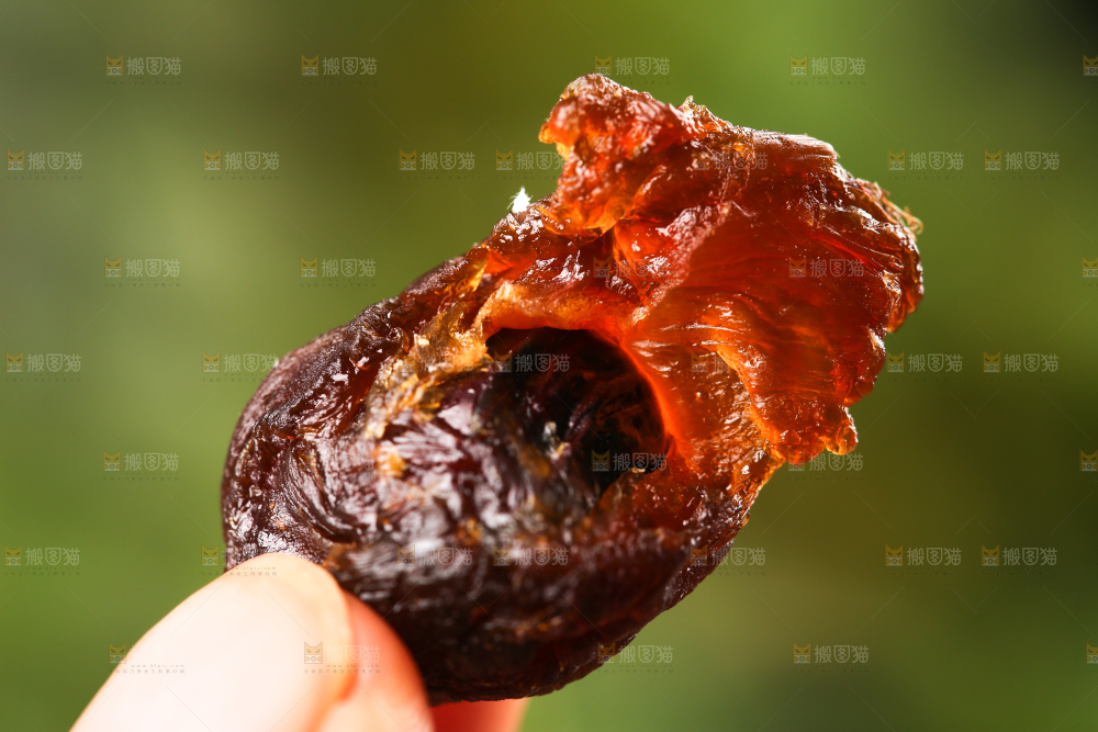 手上拿着干桂圆果肉
