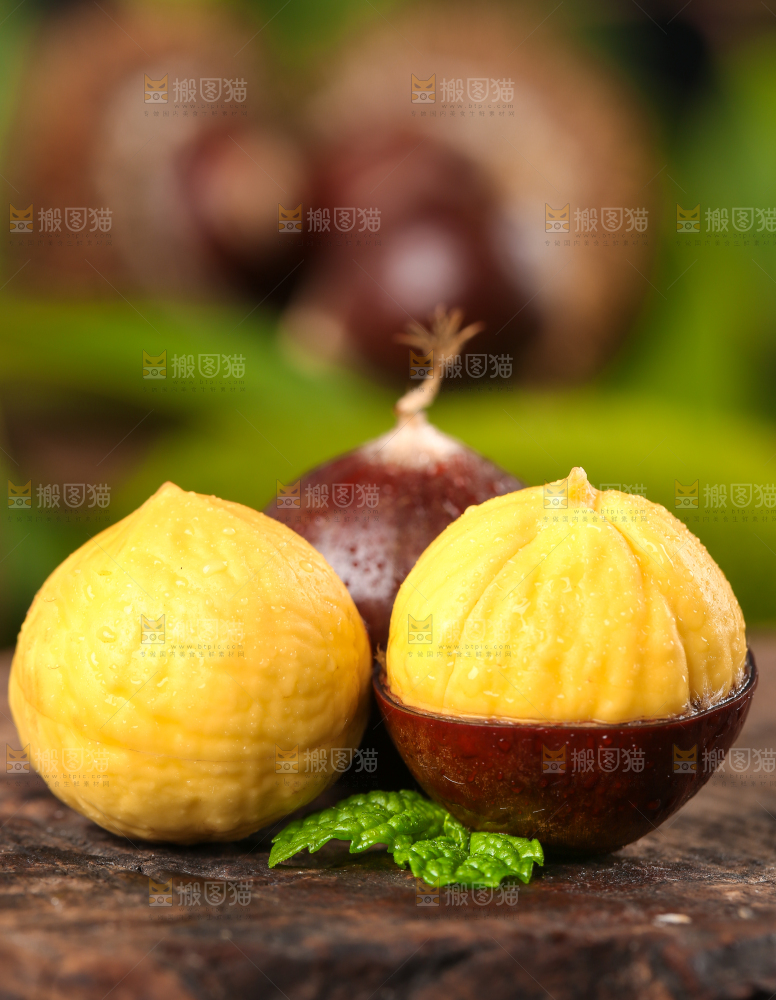 深底上的油锥栗
