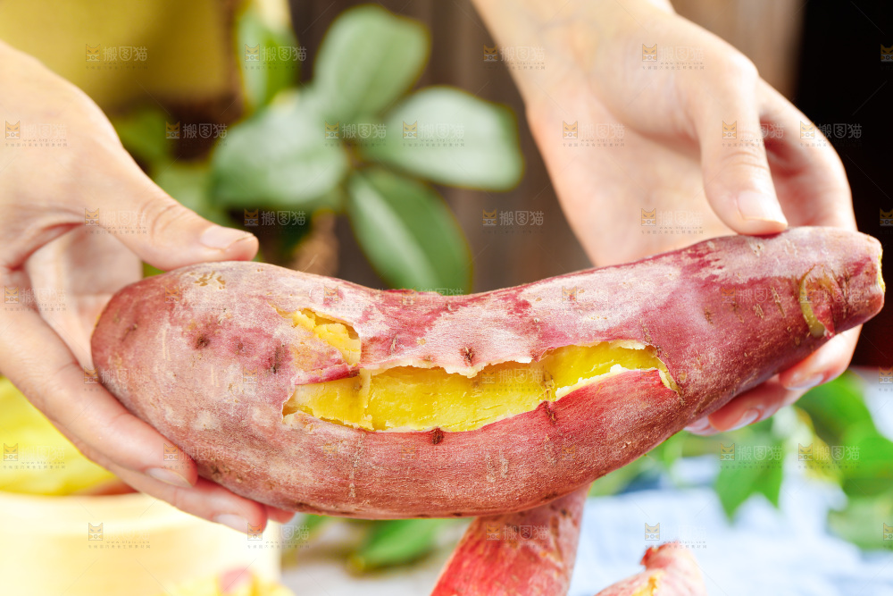 手上拿着板栗红薯
