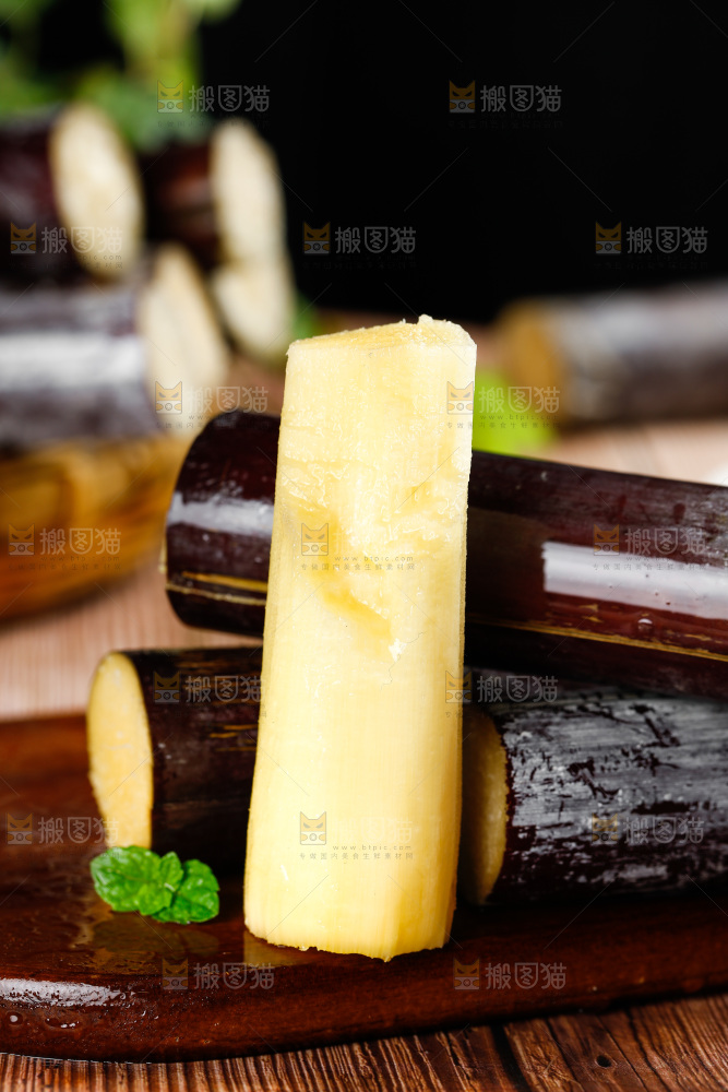 深木底上的广西甘蔗