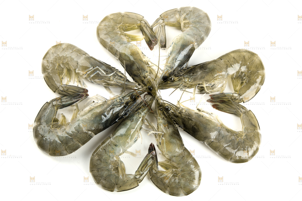 白底上放着对虾