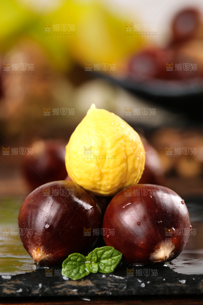 黑底上的栗子和锥栗仁