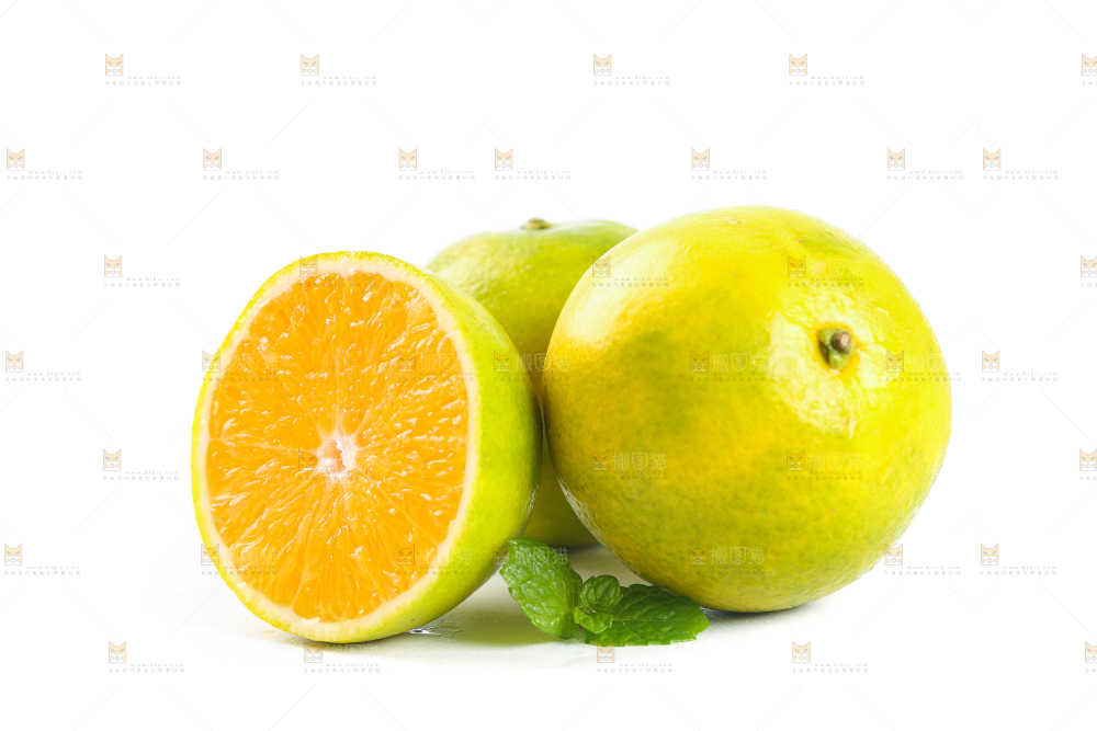 白底上的湖南夏橙和切面的橙子