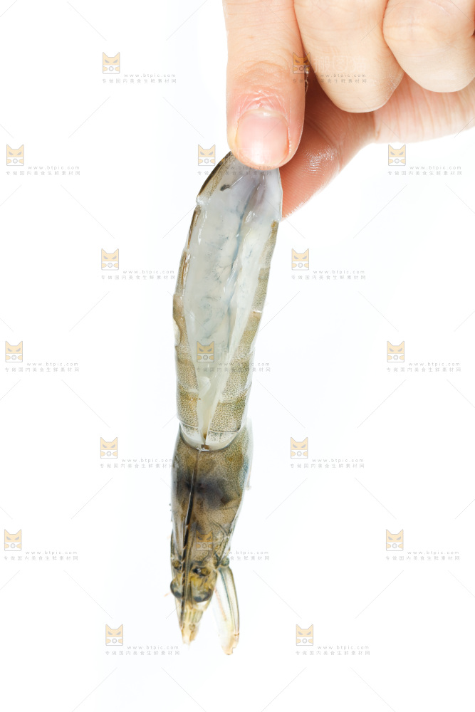大青虾