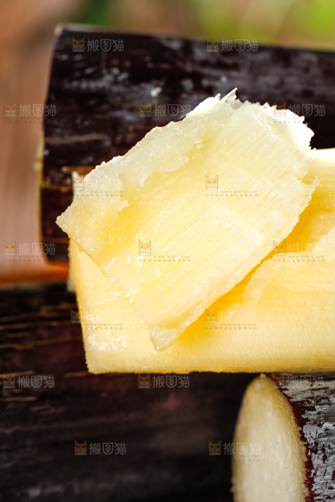 深木底上的广西甘蔗