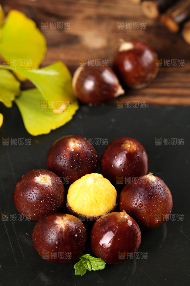 黑底上一堆新鲜锥栗