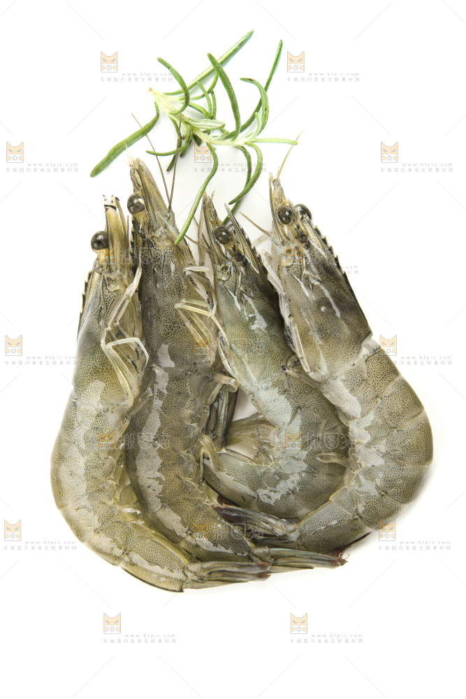 白底上放着对虾