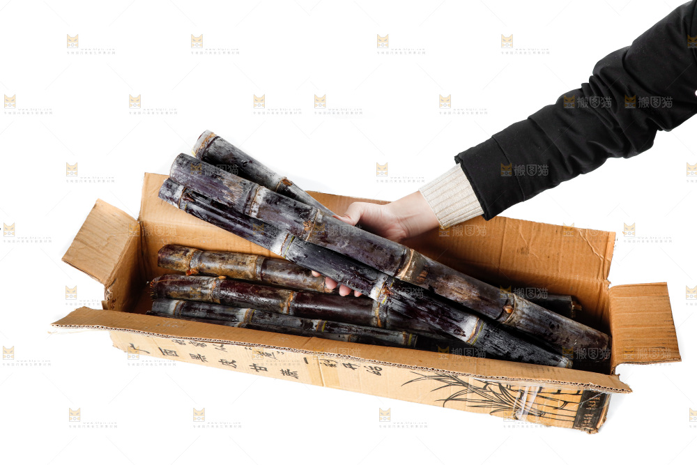 白底上一箱黑皮甘蔗和手上拿着甘蔗