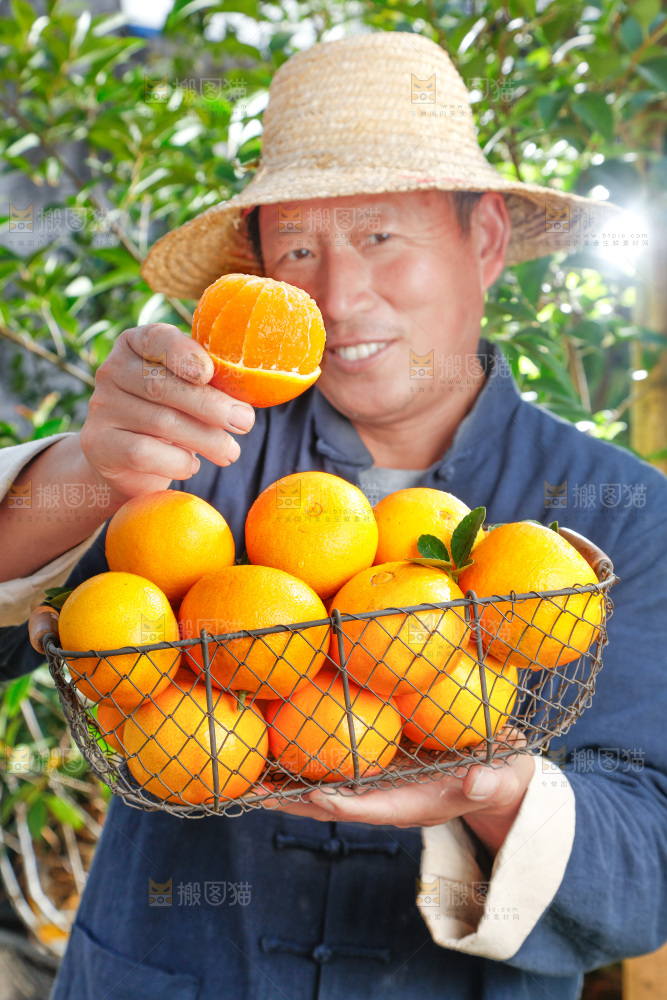 农民手上端着一篮果冻橙