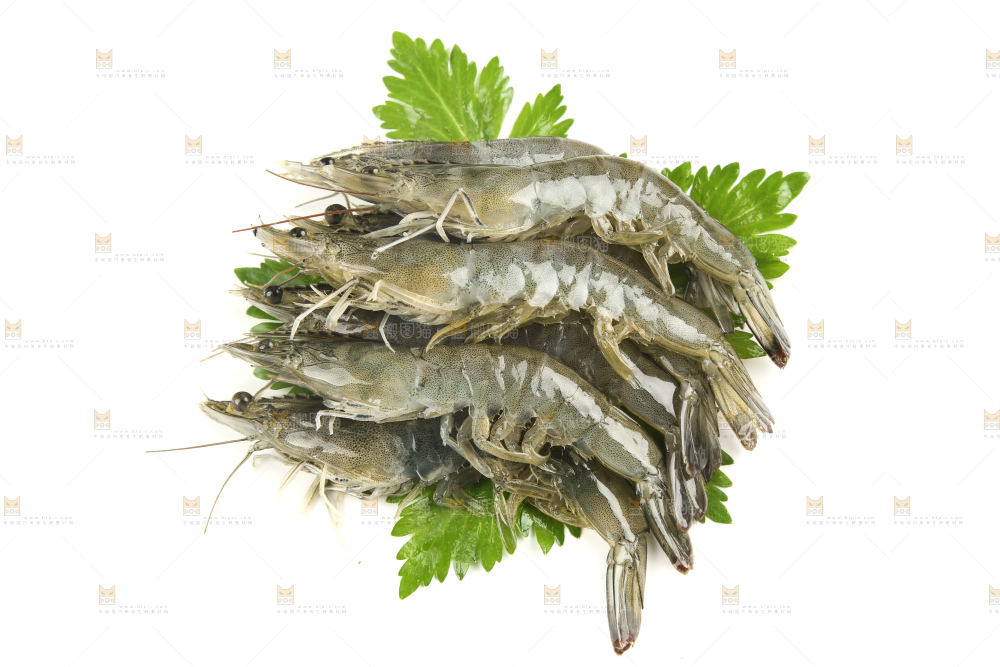 大青虾