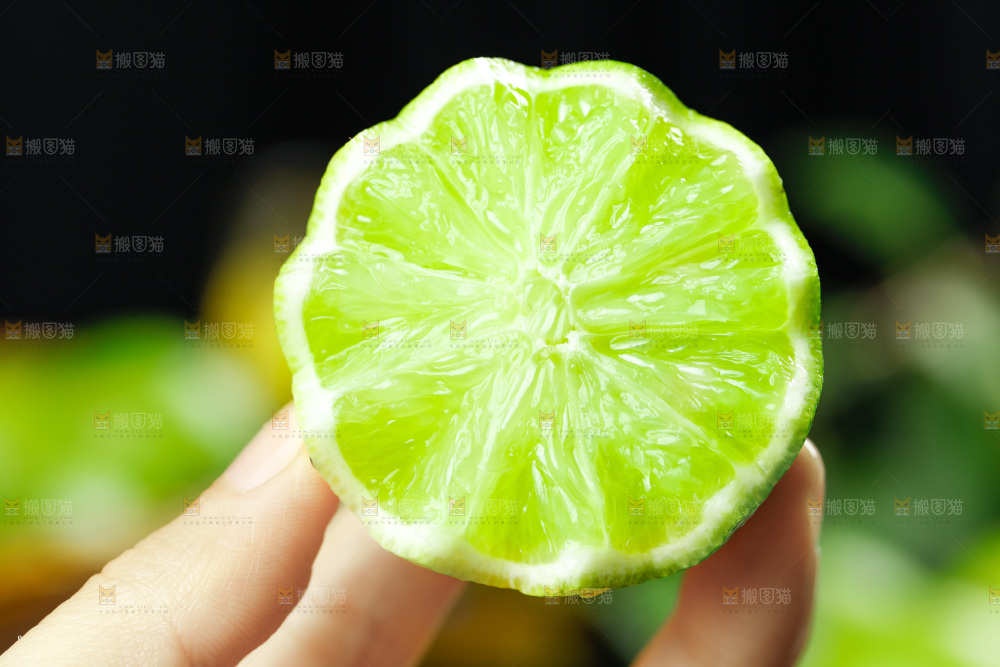 手上拿着无籽青柠檬