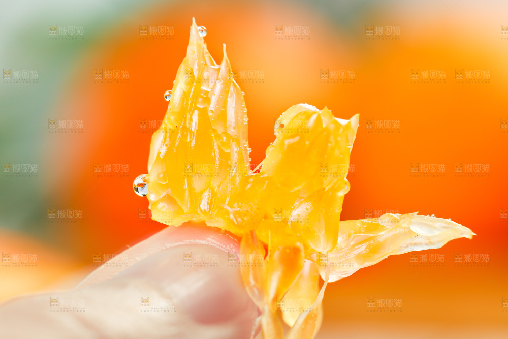手上拿着橙子果粒