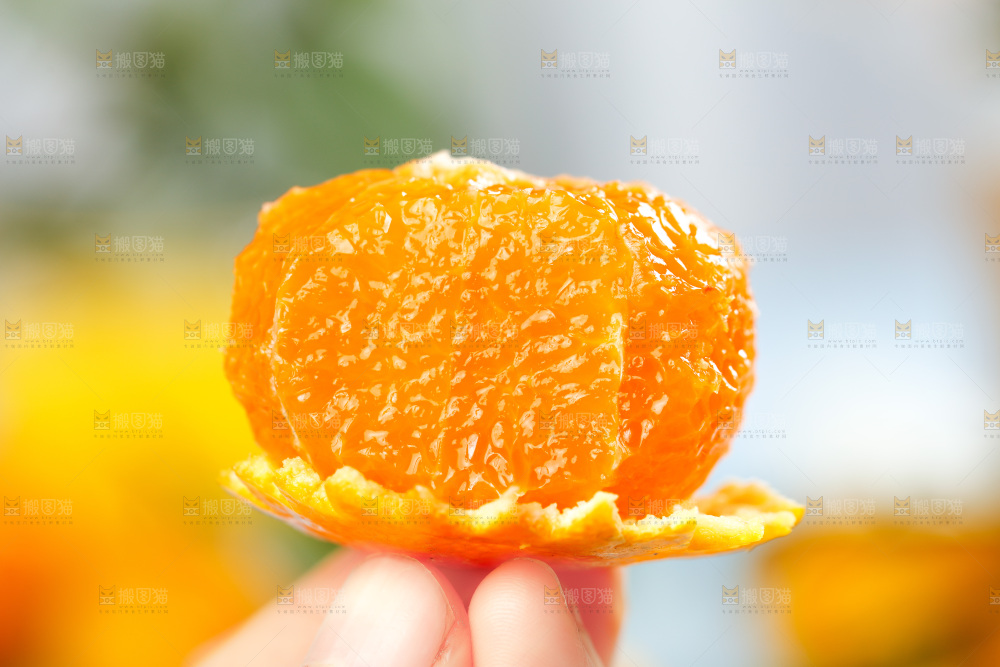 手上拿着砂糖桔果肉