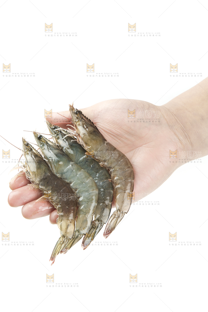 手上拿着大虾