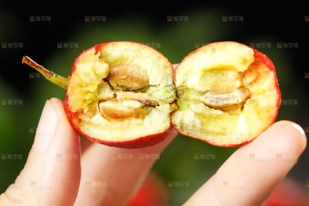 手上拿着山楂果