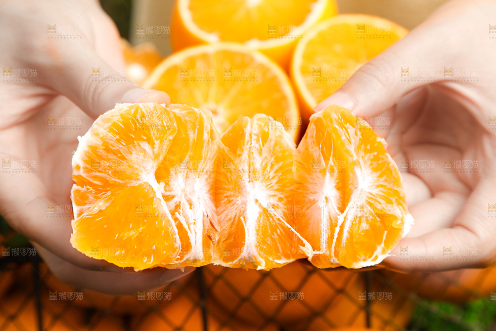 手上拿着爱媛38号柑橘果肉