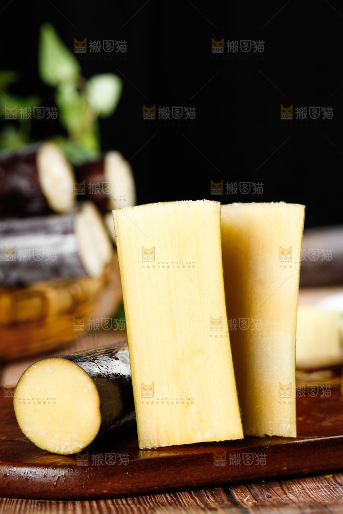 深木底上的广西甘蔗