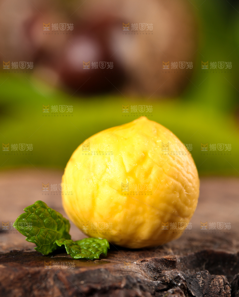 木底上放着锥栗仁