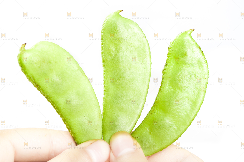 手里拿着扁豆角