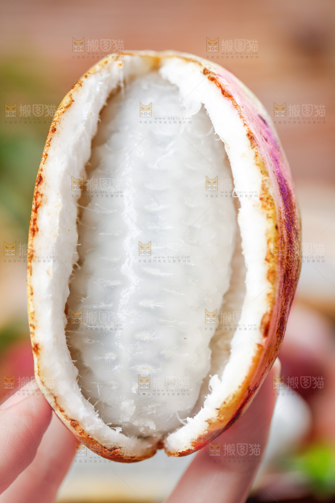 手里拿着八月瓜