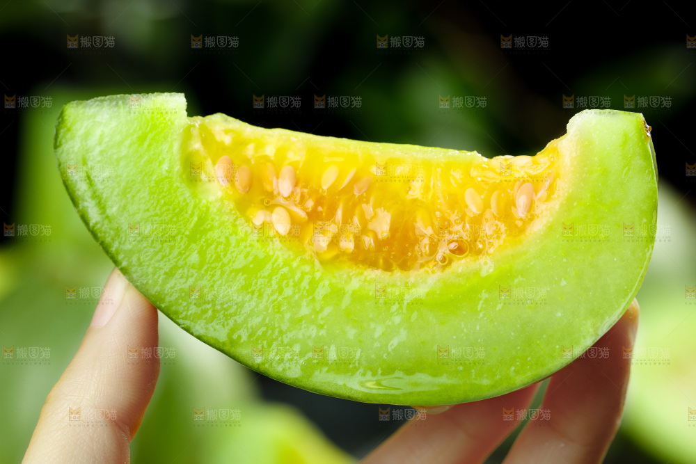 手里拿着绿宝石甜瓜
