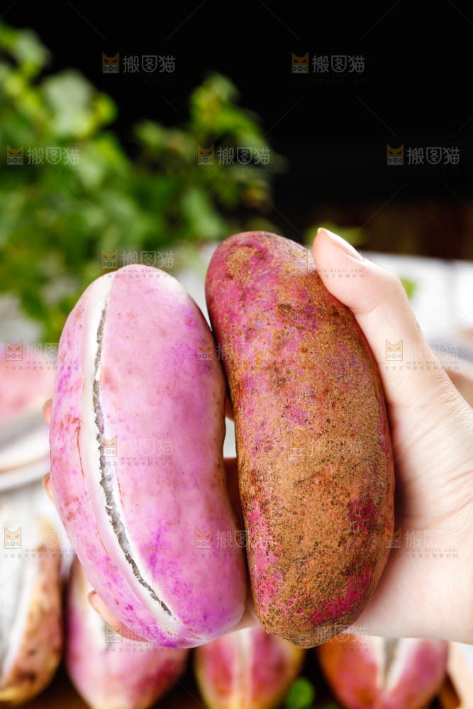 手里拿着八月瓜