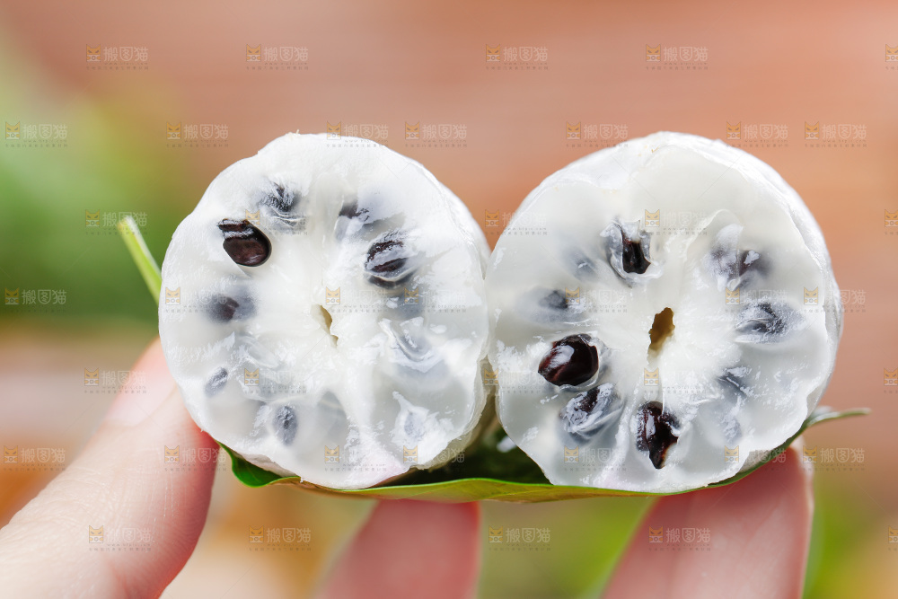 手里拿着八月瓜