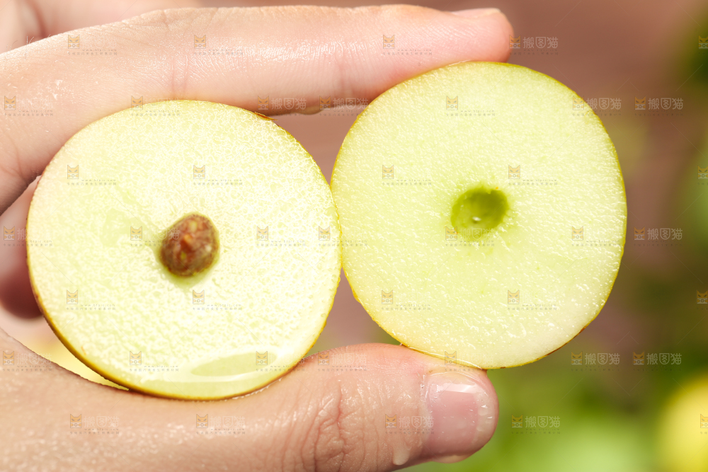 手里拿着冬枣