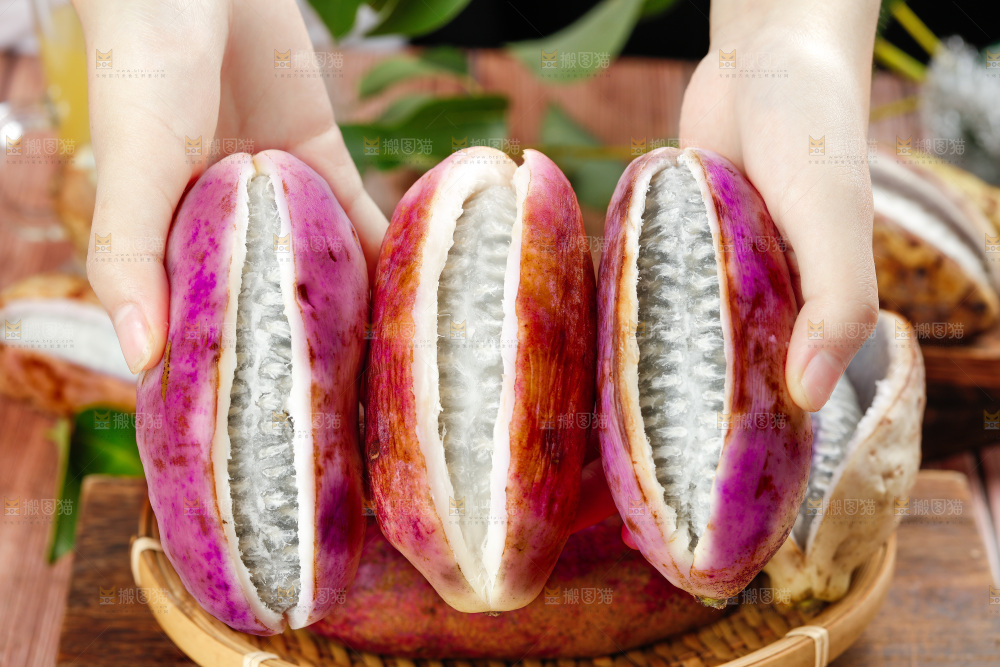 手里拿着八月瓜