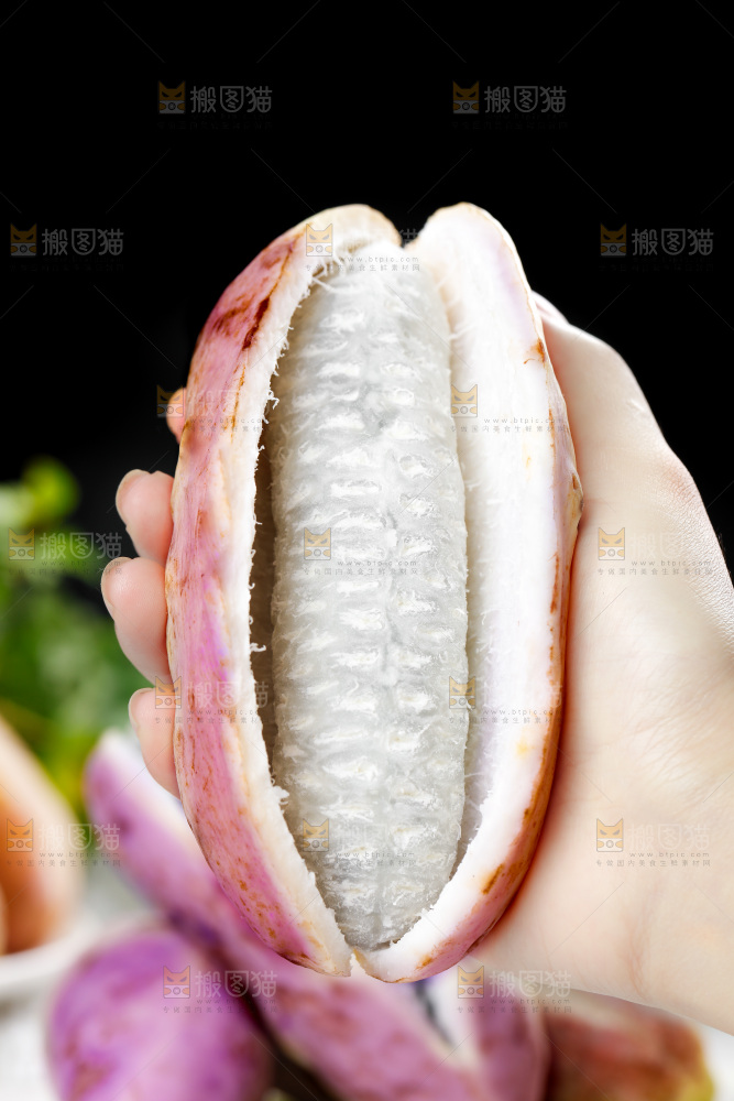 手里拿着八月瓜